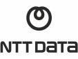 3 ntt data