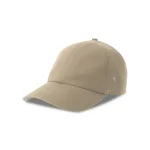 Kaki