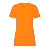 Active Sports-T Gheddi