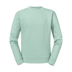 Eucalyptus green
