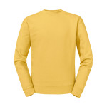 mimosa yellow