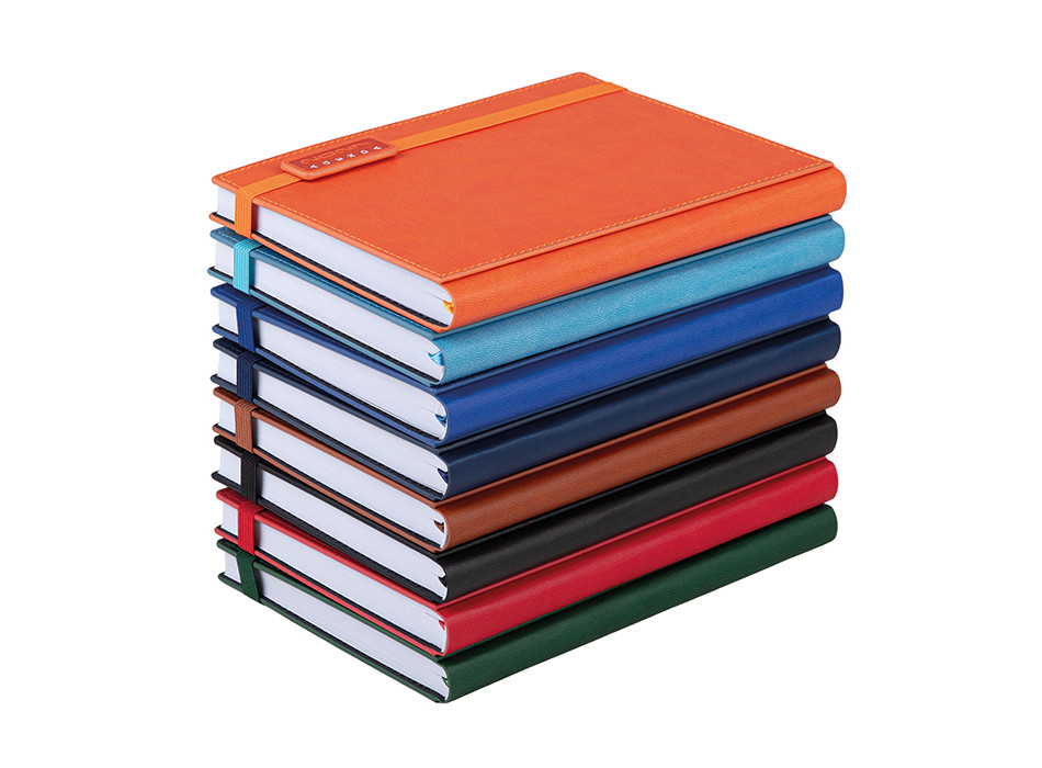 AGENDA GIORNALIERA Gheddi