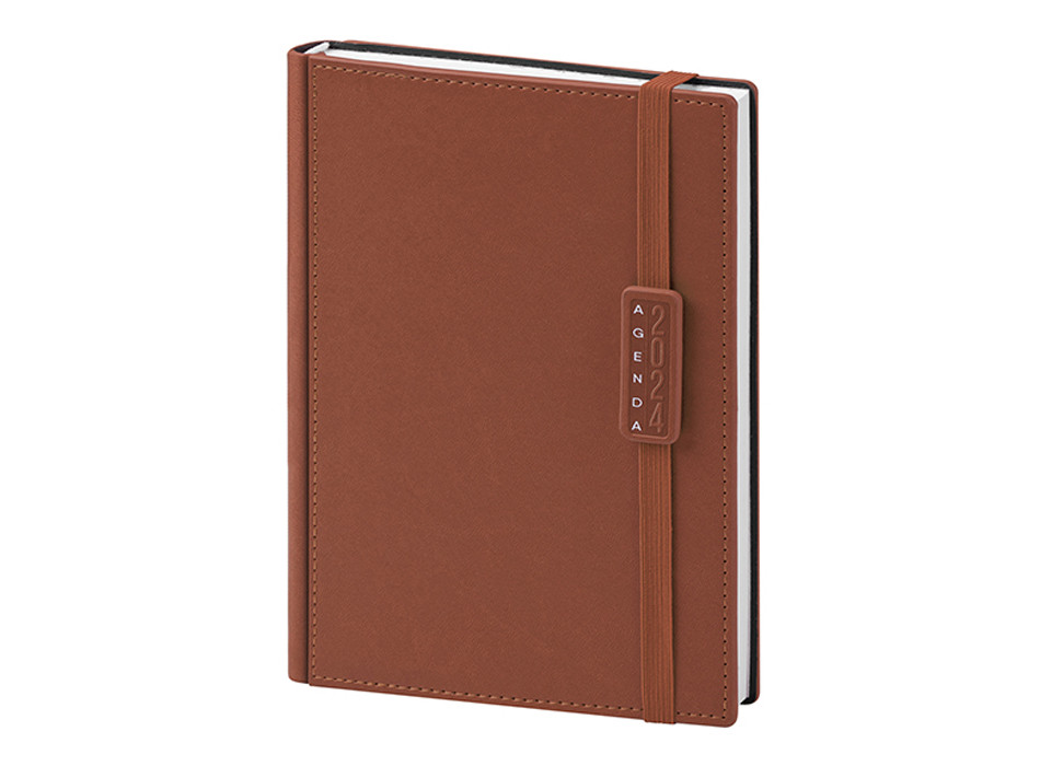 AGENDA GIORNALIERA Gheddi