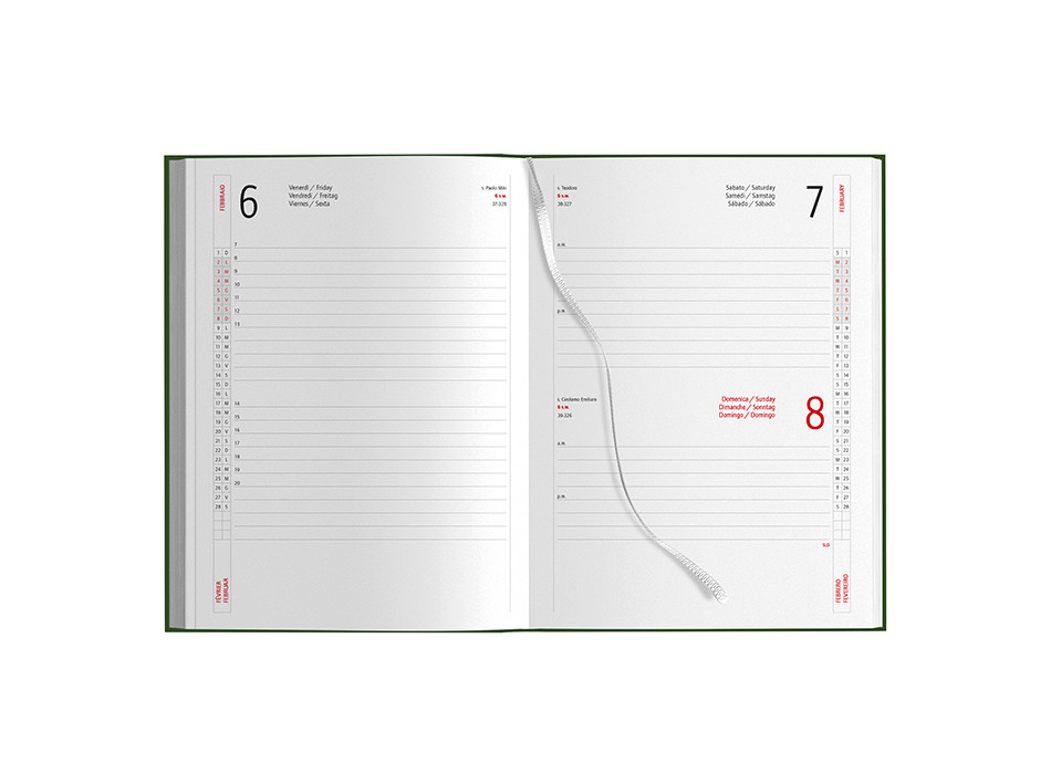 AGENDA GIORNALIERA Gheddi