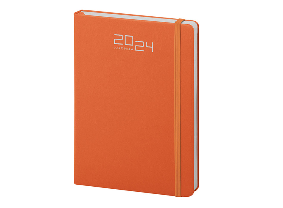 AGENDA GIORNALIERA Gheddi