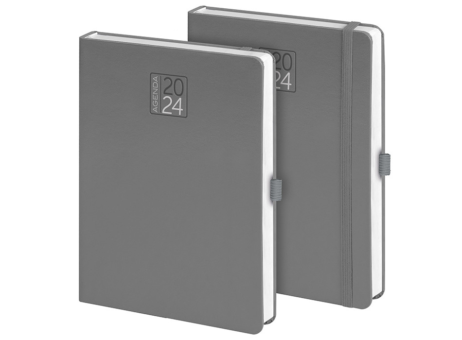 AGENDA GIORNALIERA Gheddi