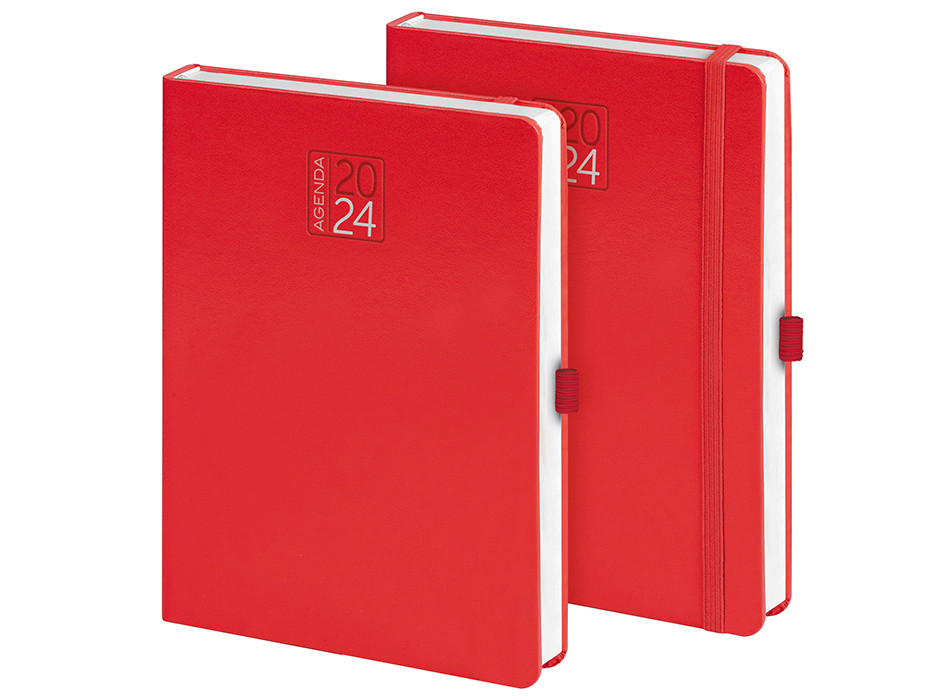 AGENDA GIORNALIERA Gheddi