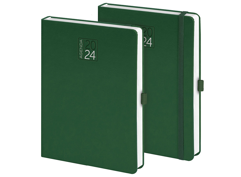 AGENDA GIORNALIERA Gheddi