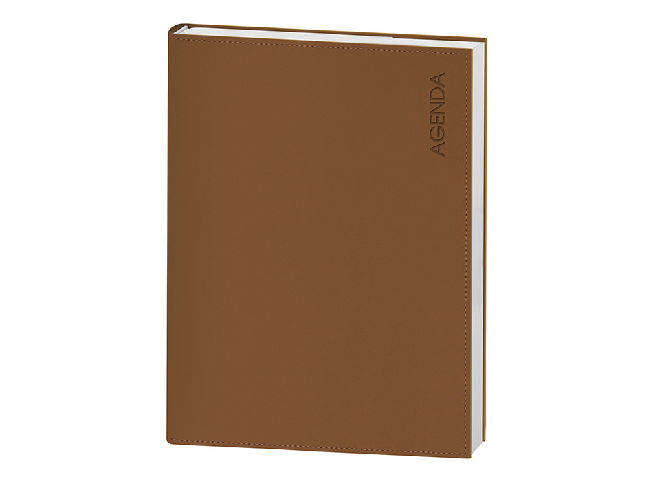 AGENDA GIORNALIERA Gheddi