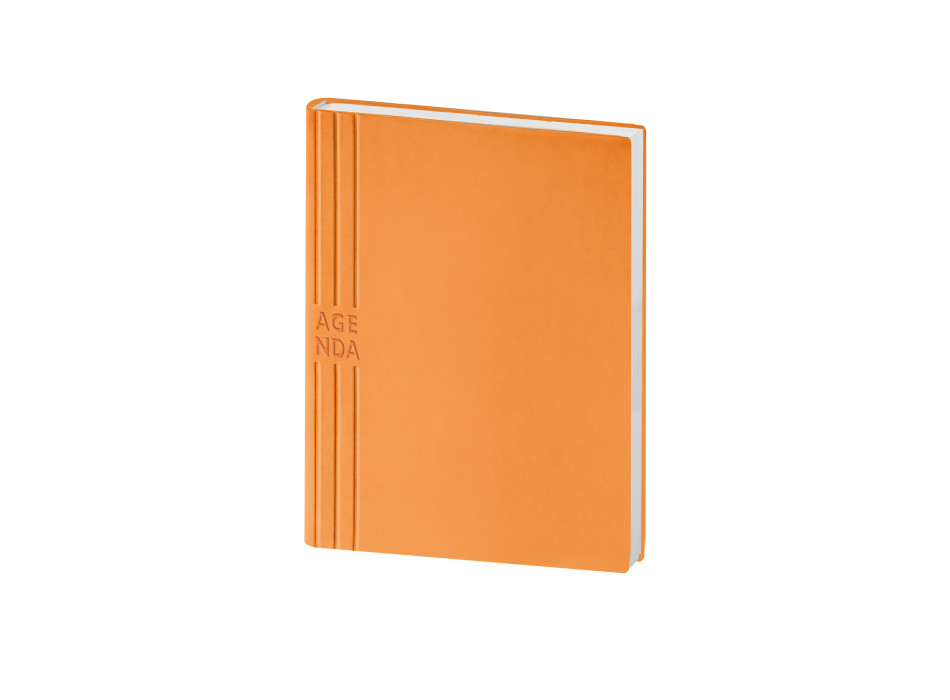 Agenda Giornaliera in TAM 