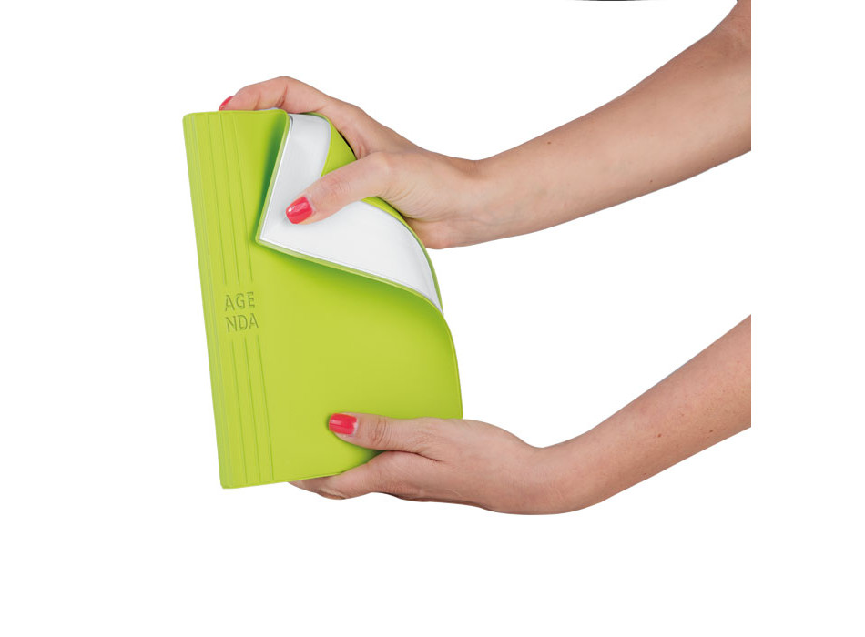 AGENDA GIORNALIERA IN TAM