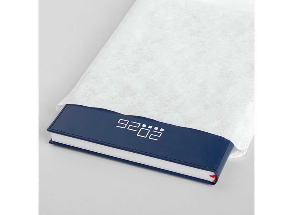 AGENDA GIORNALIERA MAXI