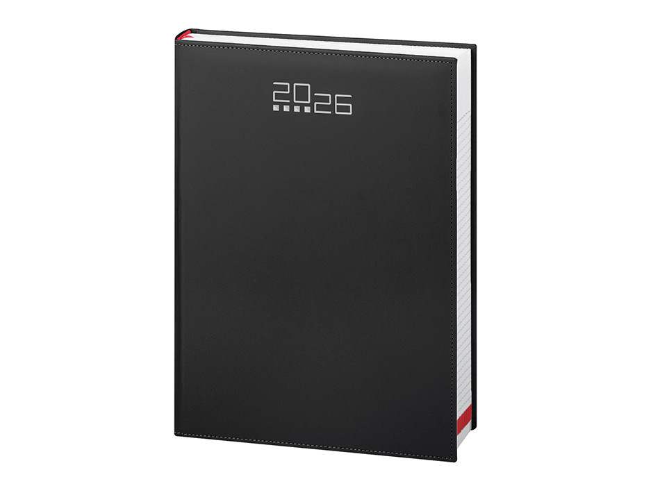 AGENDA GIORNALIERA MAXI