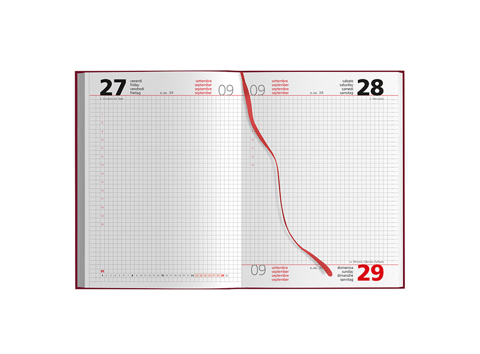 Agenda Giornaliera Quadrettata Gheddi