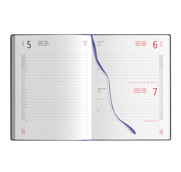 Agenda Prinflex Giornaliera 17x24cm Gheddi