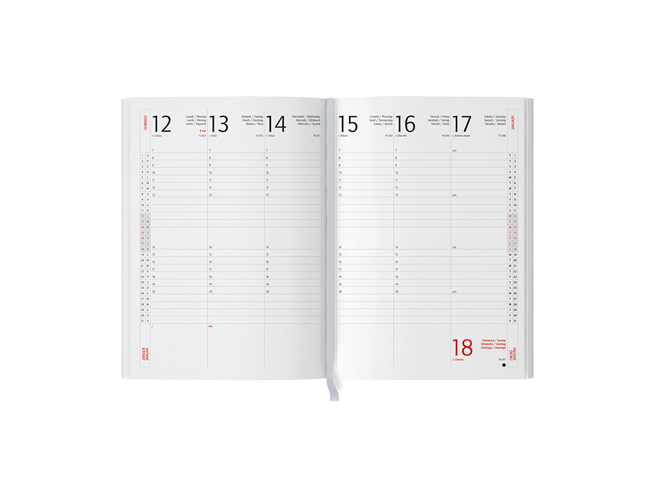 AGENDA SETTIMANALE