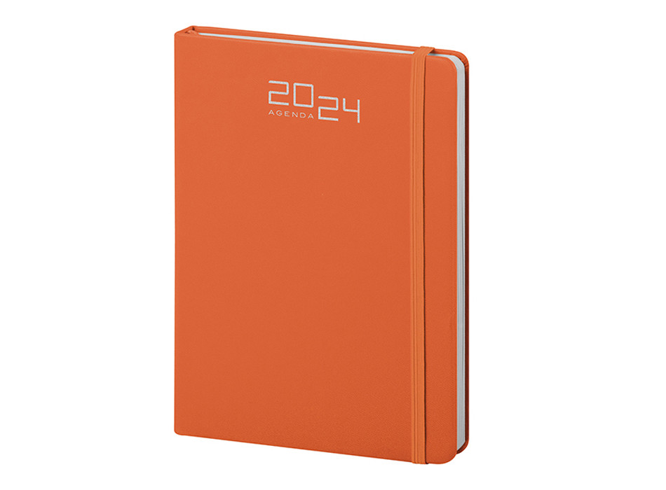 AGENDA SETTIMANALE Gheddi