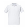 Authentic Eco Polo Gheddi