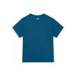Polvere Blu