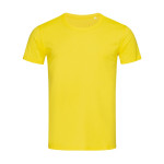 Giallo Margherita