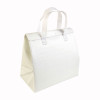 Borsa frigo in TNT laminato 100 g/m2, chiusura con velcro