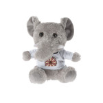 Grigio