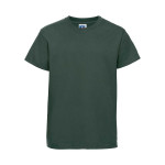 Verde Bottiglia