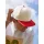 Contrast Flat Peak 6 Panel Cap Gheddi