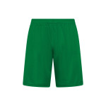 Verde Kelly