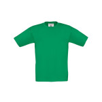 Verde Kelly