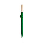 Verde Felce