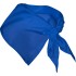 Bandana Festero