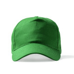 Verde Felce