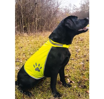 Korntex Safety Vest for Dogs