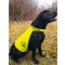 Gilet di Sicurezza per Cani Korntex