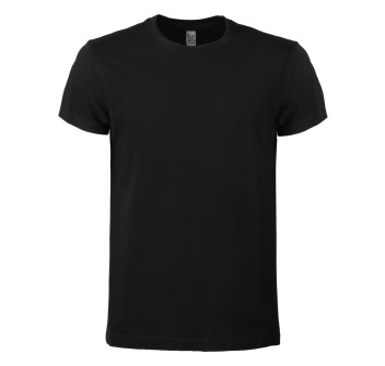 Evolution T
