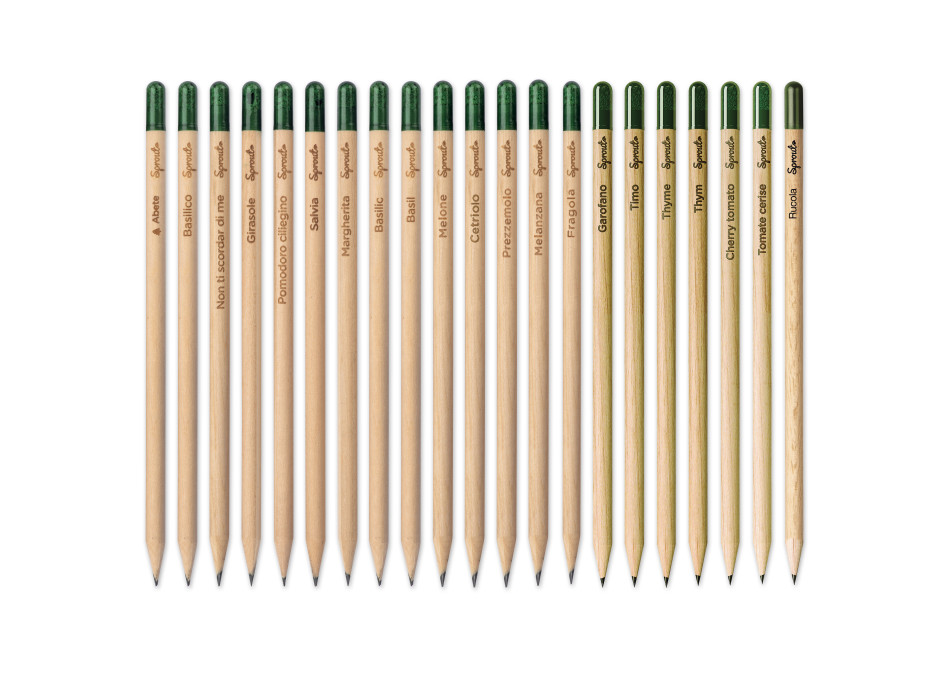 Matita Sprout in legno sostenibile con mina in grafite. Piantabile dopo l'utilizzo