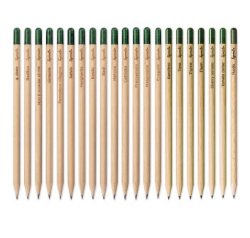 Matita Sprout in legno sostenibile con mina in grafite. Piantabile dopo l'utilizzo