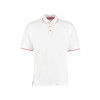 Men's St. Mellion Polo uomo Gheddi