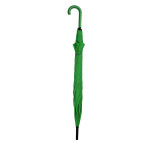 Verde Felce