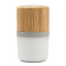 Cassa Bluetooth Ozcan