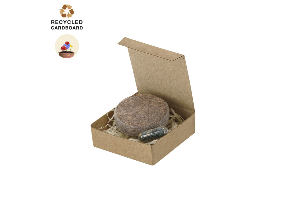 Pack Piantabile Aquael