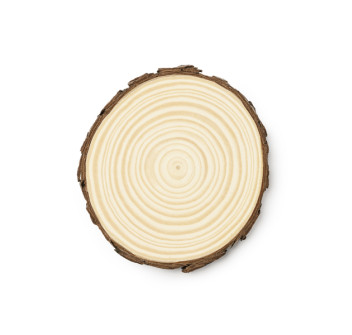 PINEA Gheddi