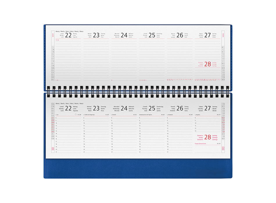 PLANNING TERMOVIRANTE Gheddi