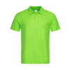 Polo Gheddi