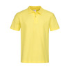 Polo Gheddi