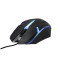 Mouse Qinox