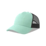 Verde Acqua / Nero