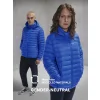 Reset Puffer Gheddi