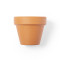 Vaso Soltax